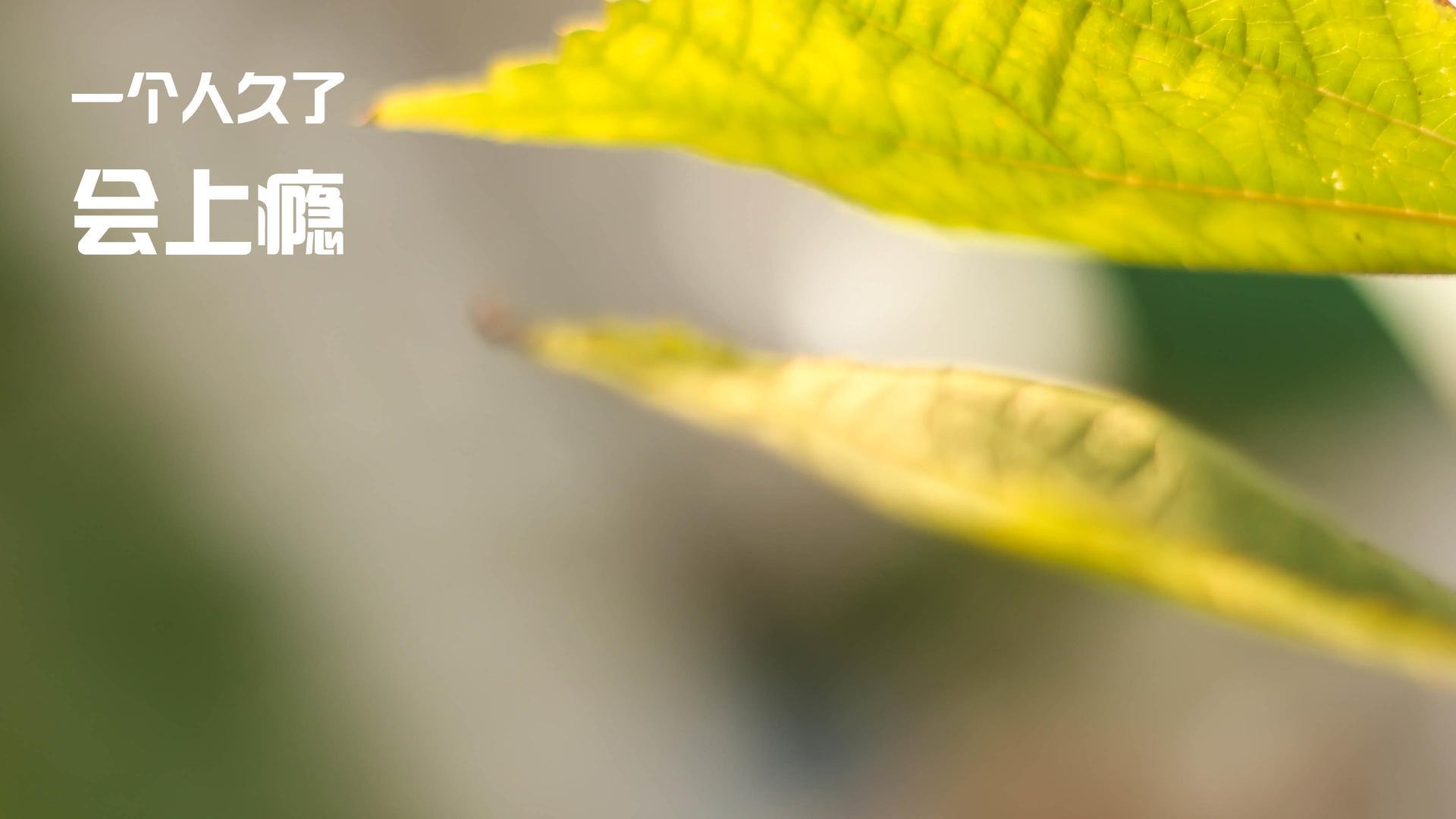 2025年中国青少年篮球推广计划正式启动,青少年篮球赛事推广