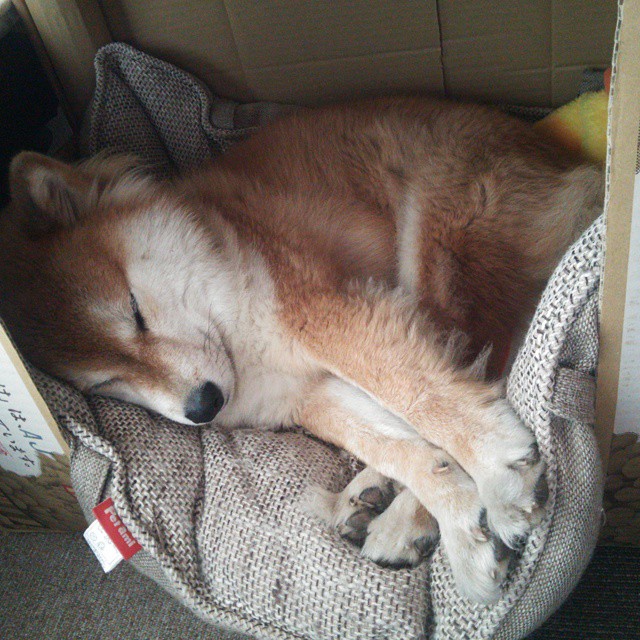 _城市灯光跑:闪耀夜晚的运动盛宴_,城市灯光夜景说说心情短语