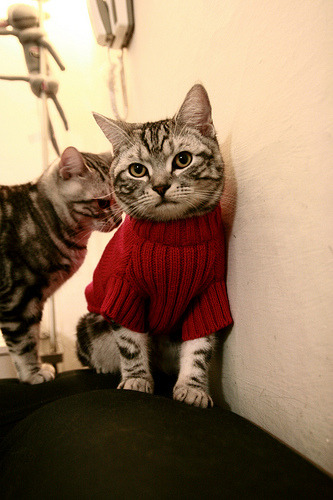 爱游戏下载-NBA纪录持续被打破，球员个人表现空前精彩，nba的各种记录