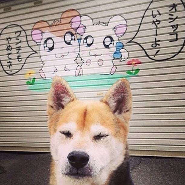 爱游戏体育官方网站-_公牛队新援大爆发，助力取胜_，公牛队官方网站