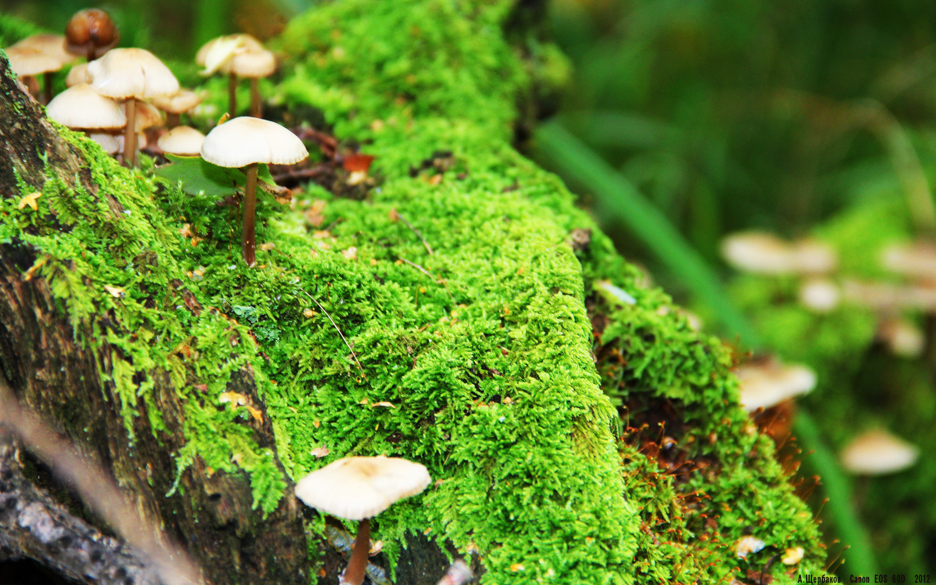 爱游戏在线登录入口-“未来已来：自动驾驶赛车引领新潮流”，自动驾驶塑未来