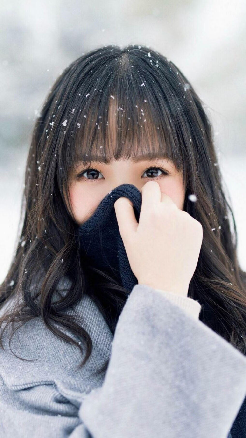 爱游戏体育平台-【国际赛事】代表队在世界棒球锦标赛中的表现，世界棒球协会